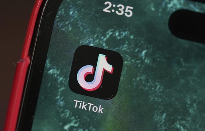 Trump in favor of a takeover of TikTok by Musk – SME