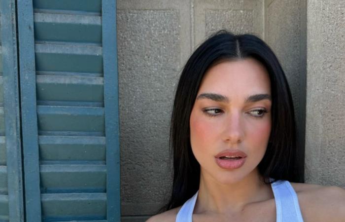 Could These Products Be the Secret to Dua Lipa’s Shiny Hair?