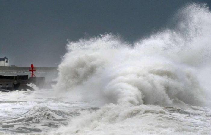 gusts of up to 100 km/h expected in the north of France at the end of the week