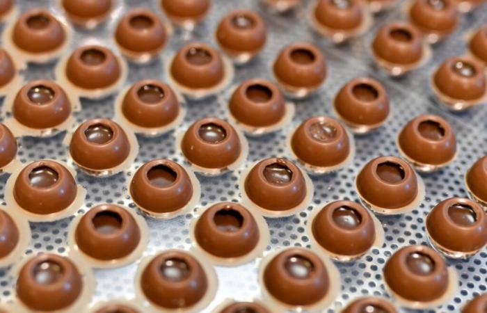 Barry Callebaut suffers a drop in volumes in the first partial