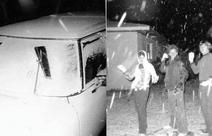 Snow in Florida: Tampa residents woke up to a winter wonderland in 1977