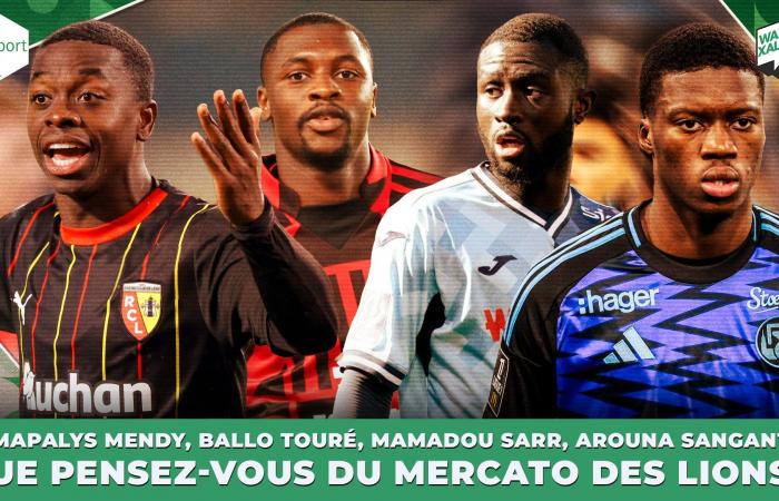 Namapalys Mendy, Ballo Touré, Mamadou Sarr, Arouna Sangante… What do you think of the Lions transfer window