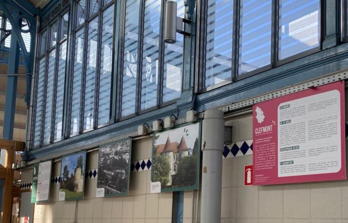 The medieval heritage of Haute-Marne is on display at Les Halles