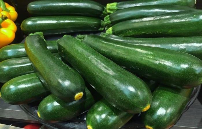 Spain imports more than half of its zucchini from Morocco