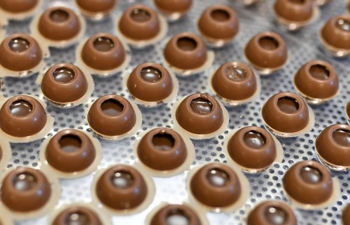 Barry Callebaut suffers a drop in volumes in the first partial – lfm.ch