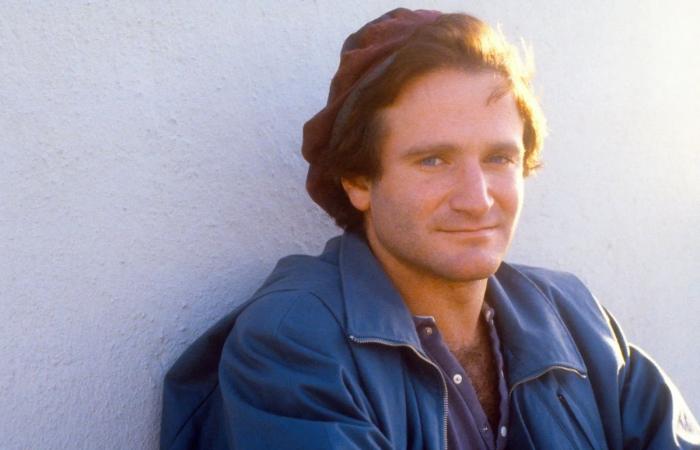 What do we really know about Robin Williams’ career?