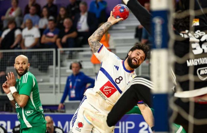 Handball: France beats Hungary at the World Cup