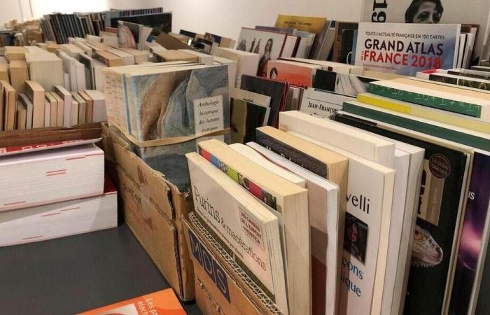 Sorting your books to declutter your home: a challenge in Nord-Mayenne