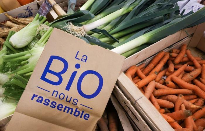 producers worried about the announcement of the abolition of the Agence Bio