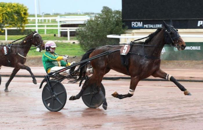 Wednesday in Cagnes – Henri Estable Prize: Hooper des Chasses as boss