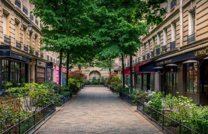 “No one wanted to live there”, discover his family “refuge” in this Parisian neighborhood