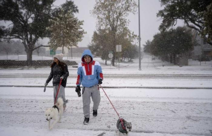 From Texas to Florida, a rare winter storm brings historic snowfall : The Picture Show : NPR