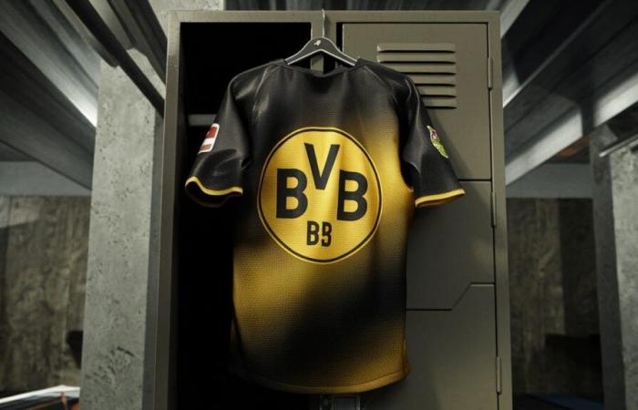 Borussia Dortmund are leaving their player Nuri Sahin