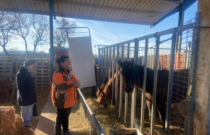 The Gard Rhone Agglomeration and the Équi-libre association join forces to reduce food waste and help animals in distress