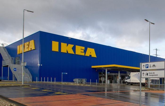 Evacuation: a fire in progress at the Ikea store in Aubonne