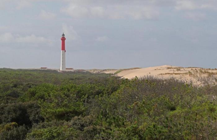 Charente-Maritime: petitions to save the Coubre lighthouse – South West