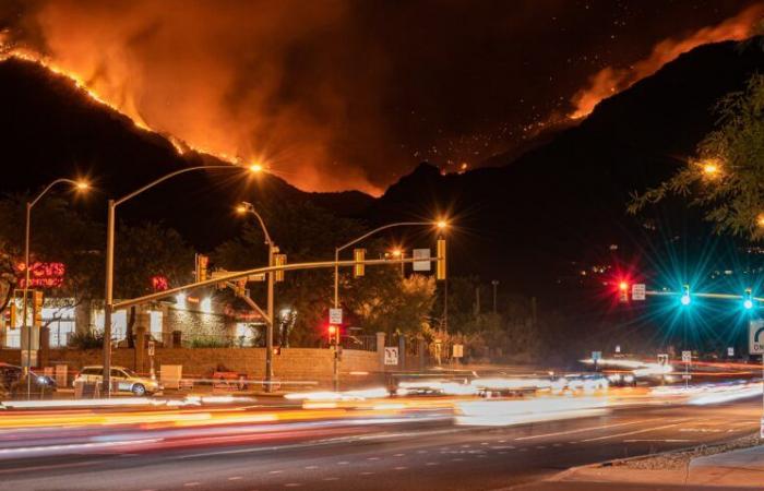 Los Angeles Area Wildfires – Valuation Will Play A Key Role In Rebuilding Efforts