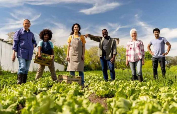 The “Taste Network-Made in Seine-et-Marne” is launched