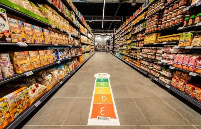 Danone and Delhaize lead the way on health and sustainability – but we need to do better