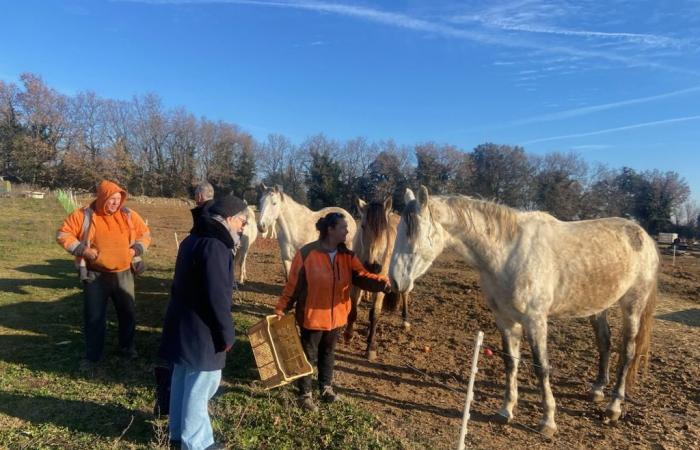 The Gard Rhone Agglomeration and the Équi-libre association join forces to reduce food waste and help animals in distress