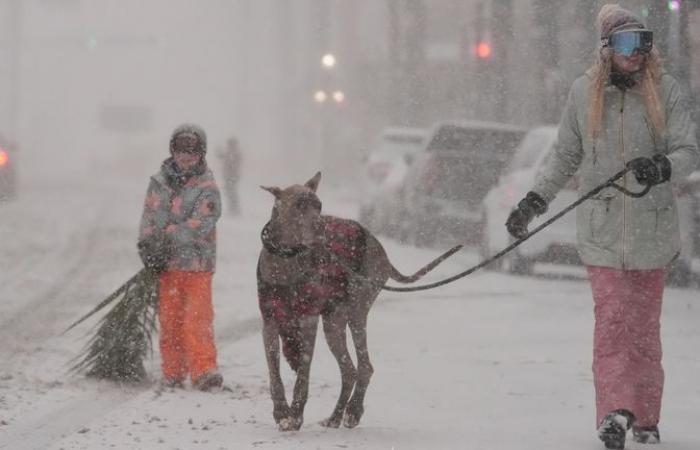 Four dead after rare winter storm brings ice and snow to US Deep South | US News