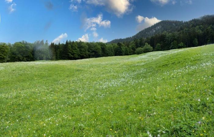 Urbanization in Megève: a mountain of inconsistencies