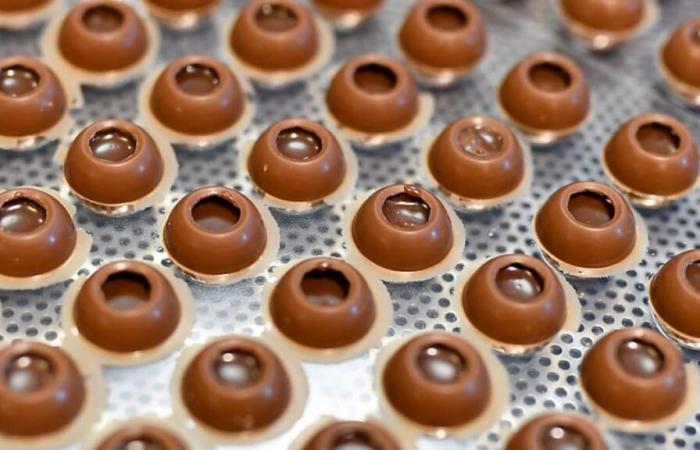 Barry Callebaut suffers a drop in volumes in the first partial period – PME