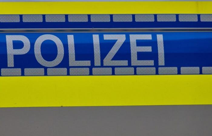 In Germany, a knife attack in a park leaves two dead, including a 2-year-old child