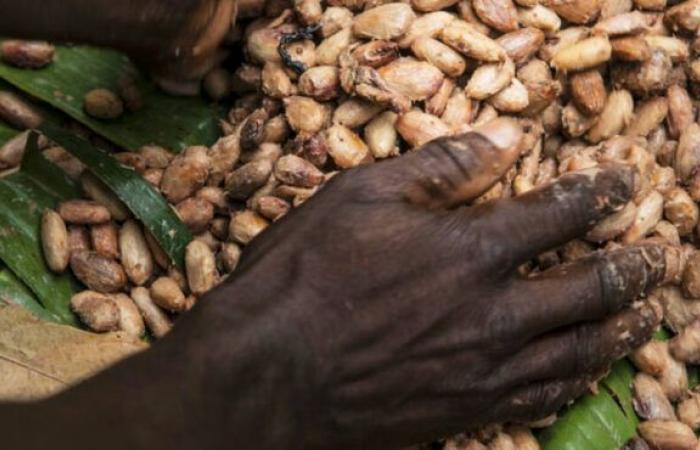 Cocoa giant Barry Callebaut faces falling demand