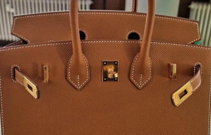 Zurich resident arrested: Hermès bag not declared to German customs