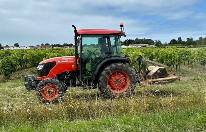 Man commits suicide hours after accidentally killing his mother by running her over with his tractor