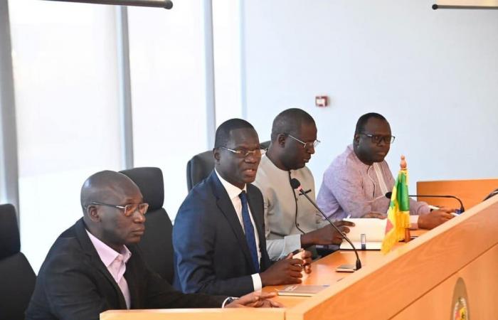 Senegal: Higher Education innovates its communication | APAnews