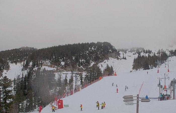 Alps. Ski trip turns into drama, 10-year-old child brain dead