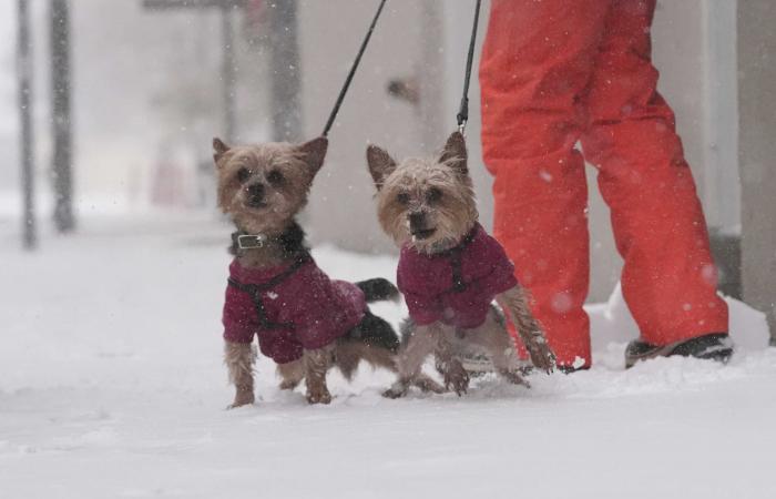 Photos of the rare winter storm blanketing the South in snow