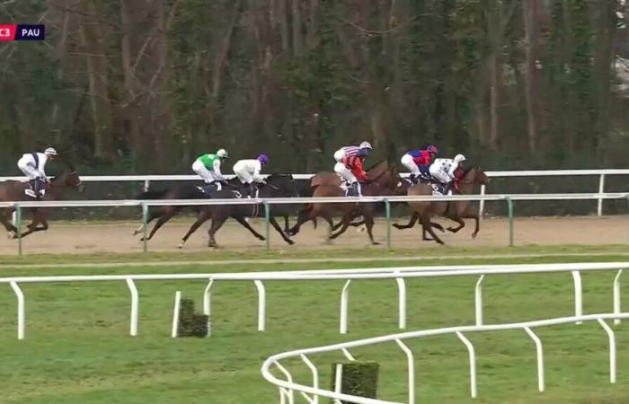 PRICE HOTEL MERCURE PAU PALAIS DES SPORTS (PRICE OF GOOD WATERS) – PAU – 01/21/2025: runners, predictions and results in videos – Race 3