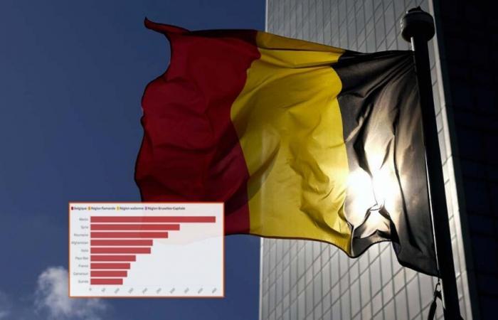 More than 5,000 “new Belgians” in one month: where do they come from?