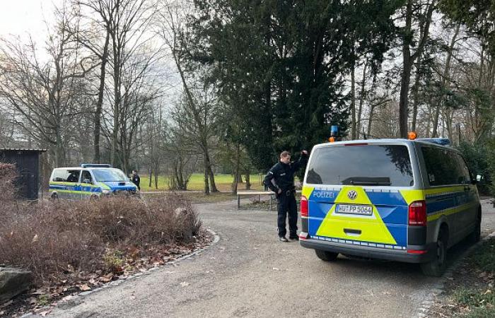 Knife attack in Germany: two dead, including a two-year-old child