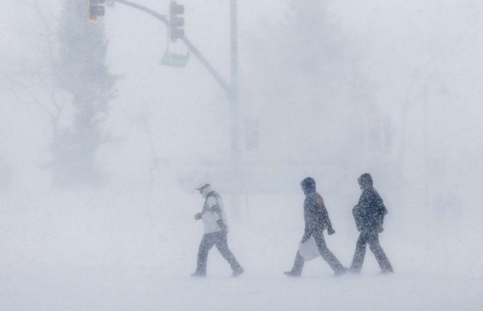 ‘Polar vortex unleashes with maximum ferocity’: Extreme cold snap hitting US leads to first blizzard alert in history from Texas to Florida