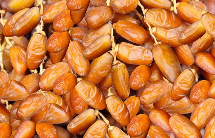 Morocco represents 20% of Tunisian date exports