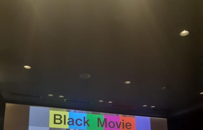 Black Movie 2025: Organ trafficking, Bedouin western and disability, or not, on the program