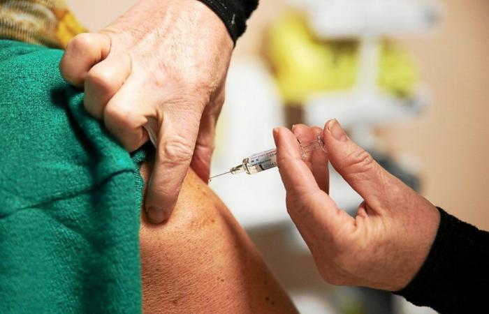 “We are drowning in calls”: in Brittany, pharmacies lack flu vaccines