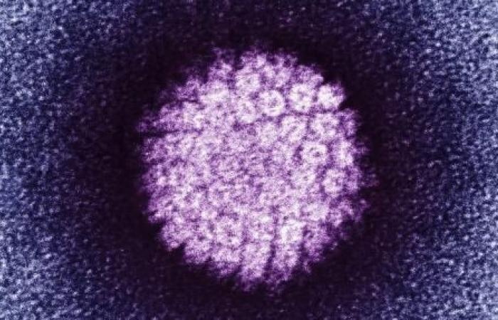 HPV screening: the self-sampling kit soon in pharmacies?