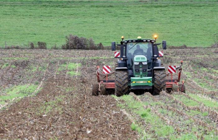 In Haute-Loire, a farmer fatally runs over his mother with a tractor before committing suicide