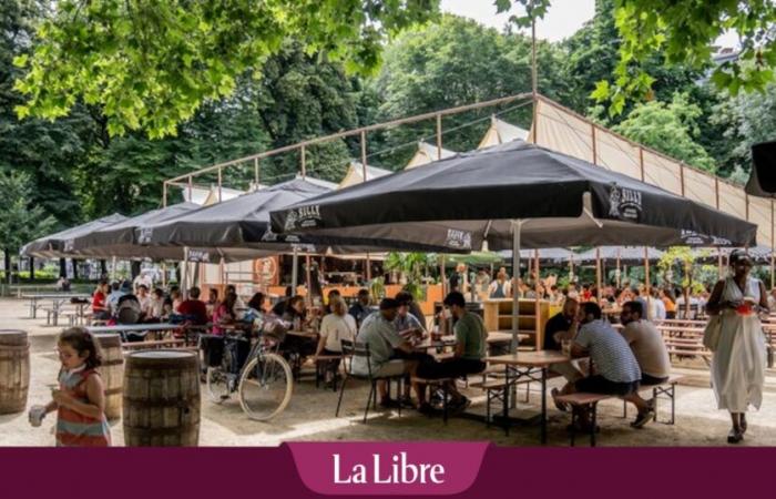 Brussels taverns may not open their doors this summer