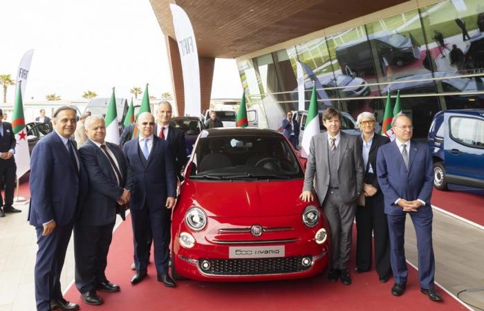 Fiat: 2024 global sales of Stellantis' number 1 brand decline, our analysis of the main countries