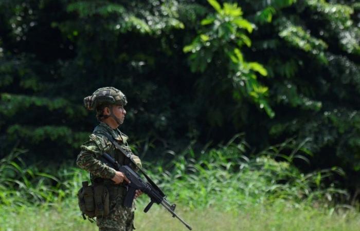 Colombia: special forces advance into guerrilla strongholds