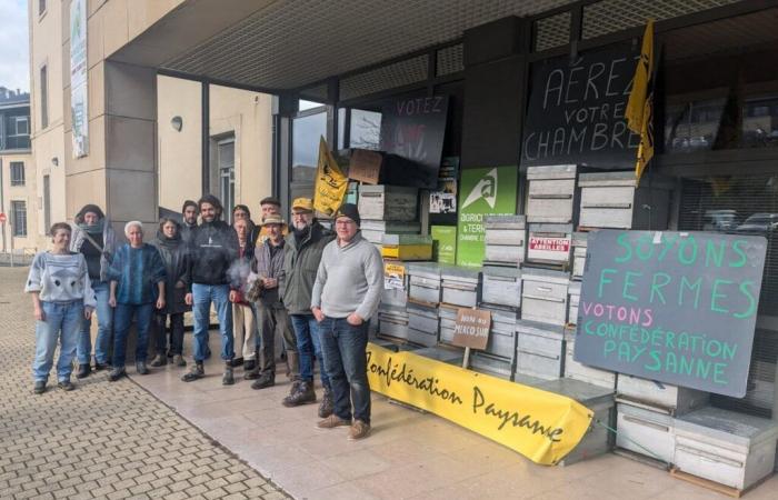 In Lozère, this agricultural union attacks… the chamber of agriculture