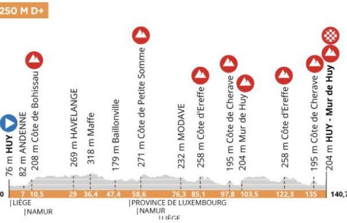 Cycling. La Flèche Wallonne – Course and teams of the Flèche Wallonne Men & Women