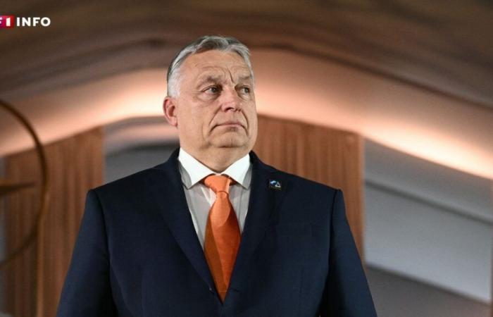 LIVE – Orban castigates “hostile” statements from kyiv, which he threatens with “countermeasures”