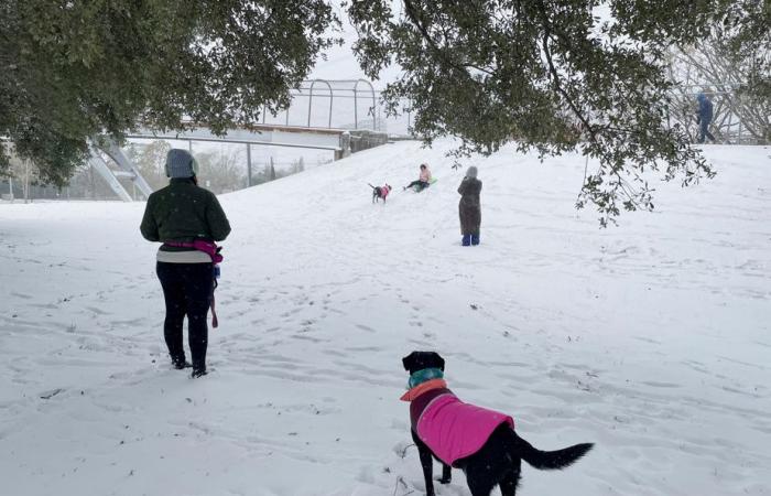 Rare snowstorm hits Texas